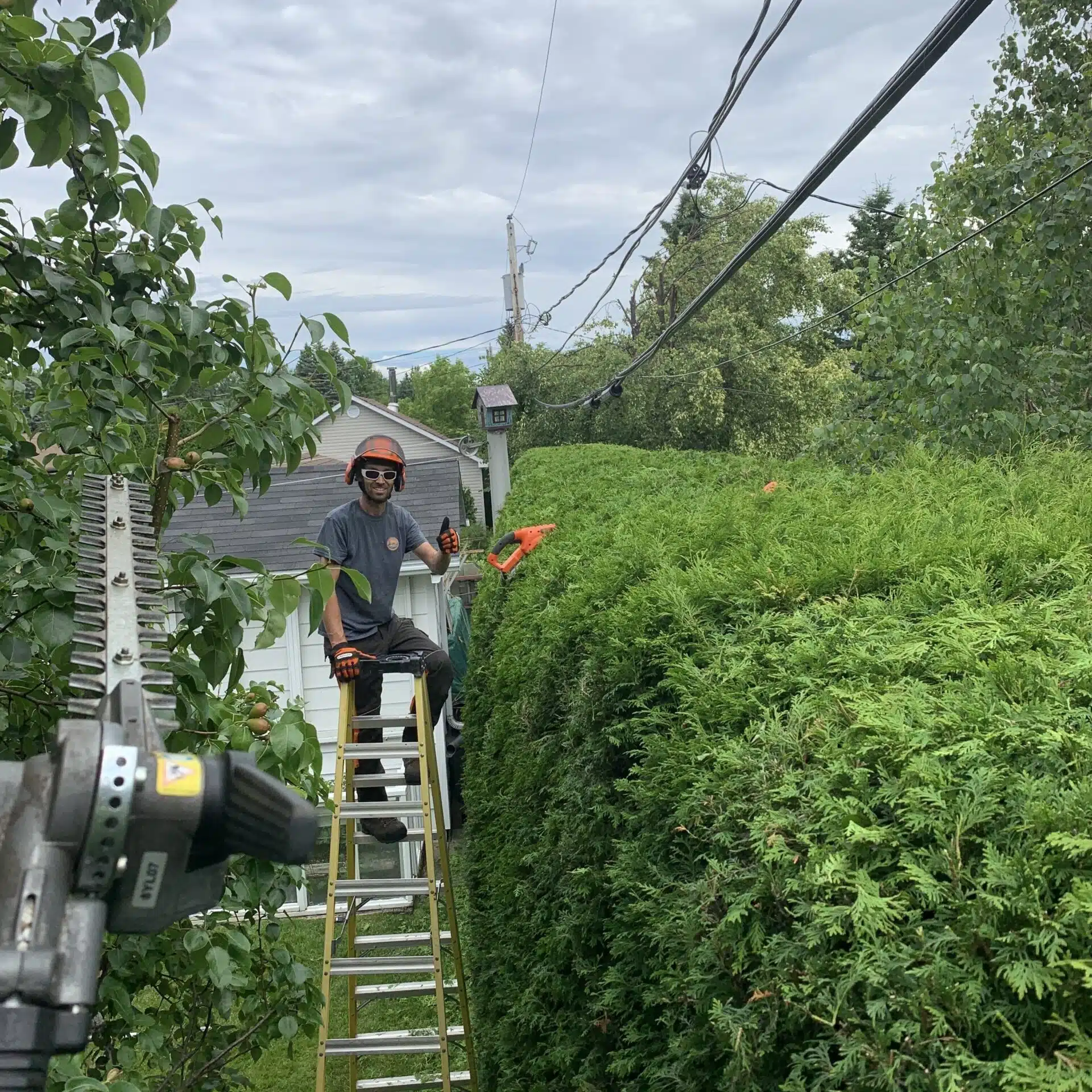 Coupe d’arbres Saguenay photo 8